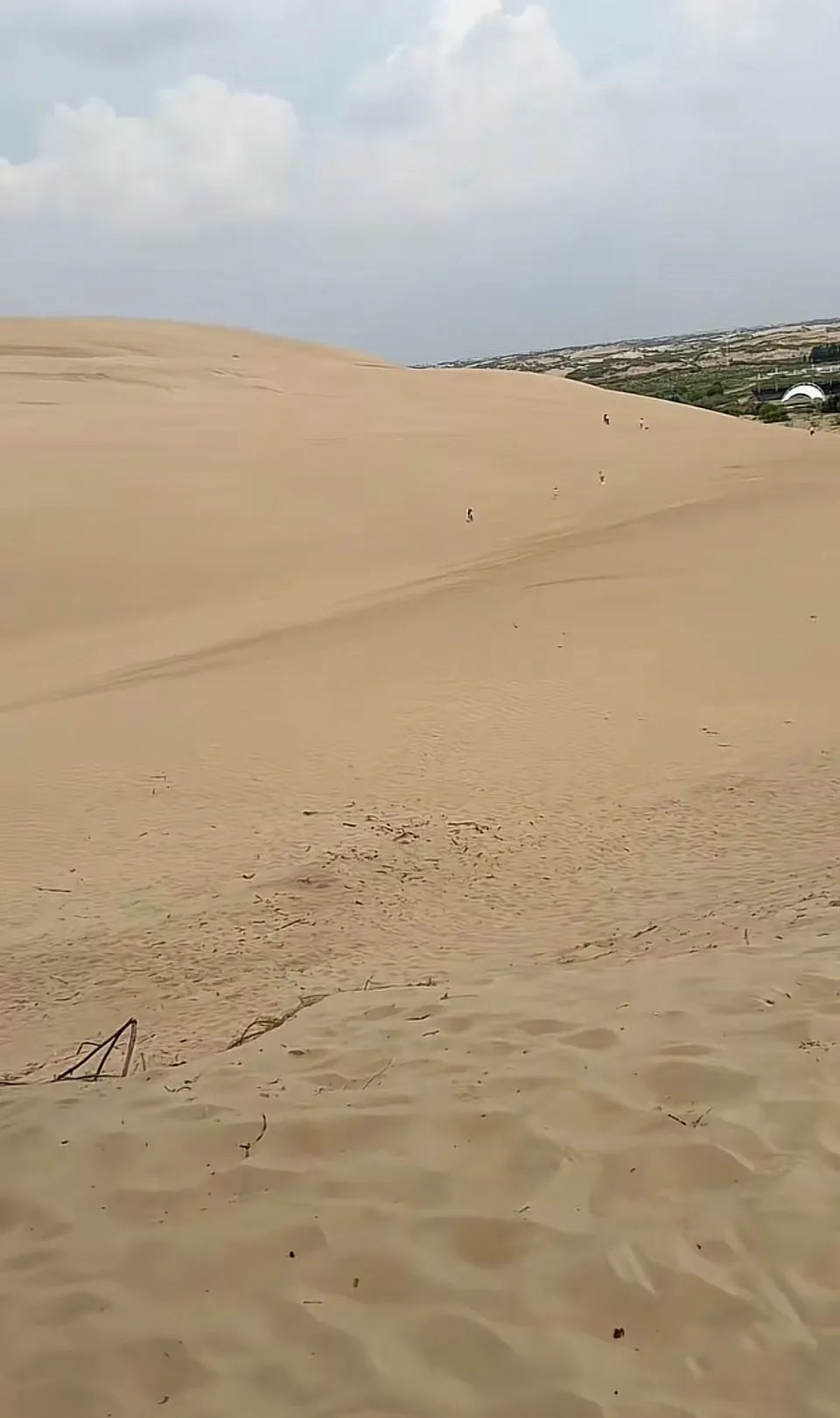DƬ